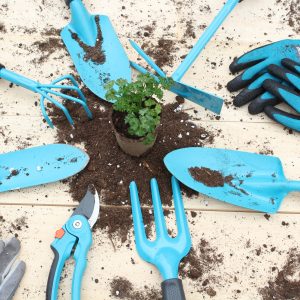 Herramientas para el huerto y jardin