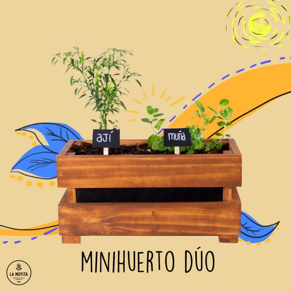 Minihuerto dúo