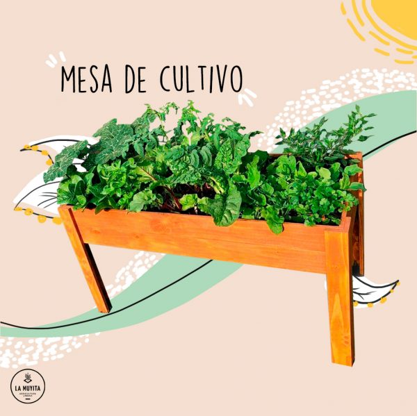 Mesa de cultivo